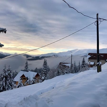 Casa De Vacanta Trei Brazi Ranca Dış mekan fotoğraf