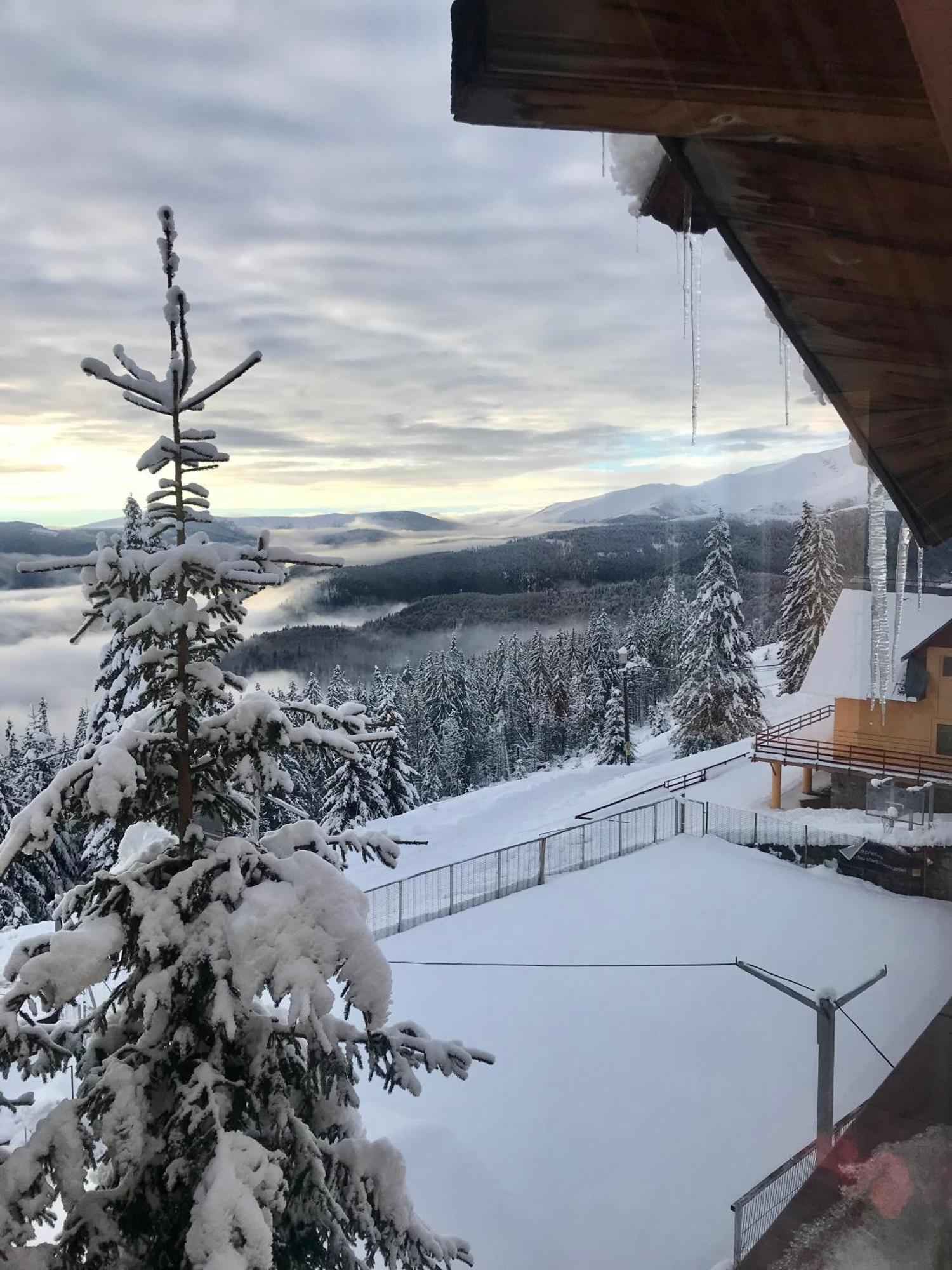 Casa De Vacanta Trei Brazi Ranca Dış mekan fotoğraf