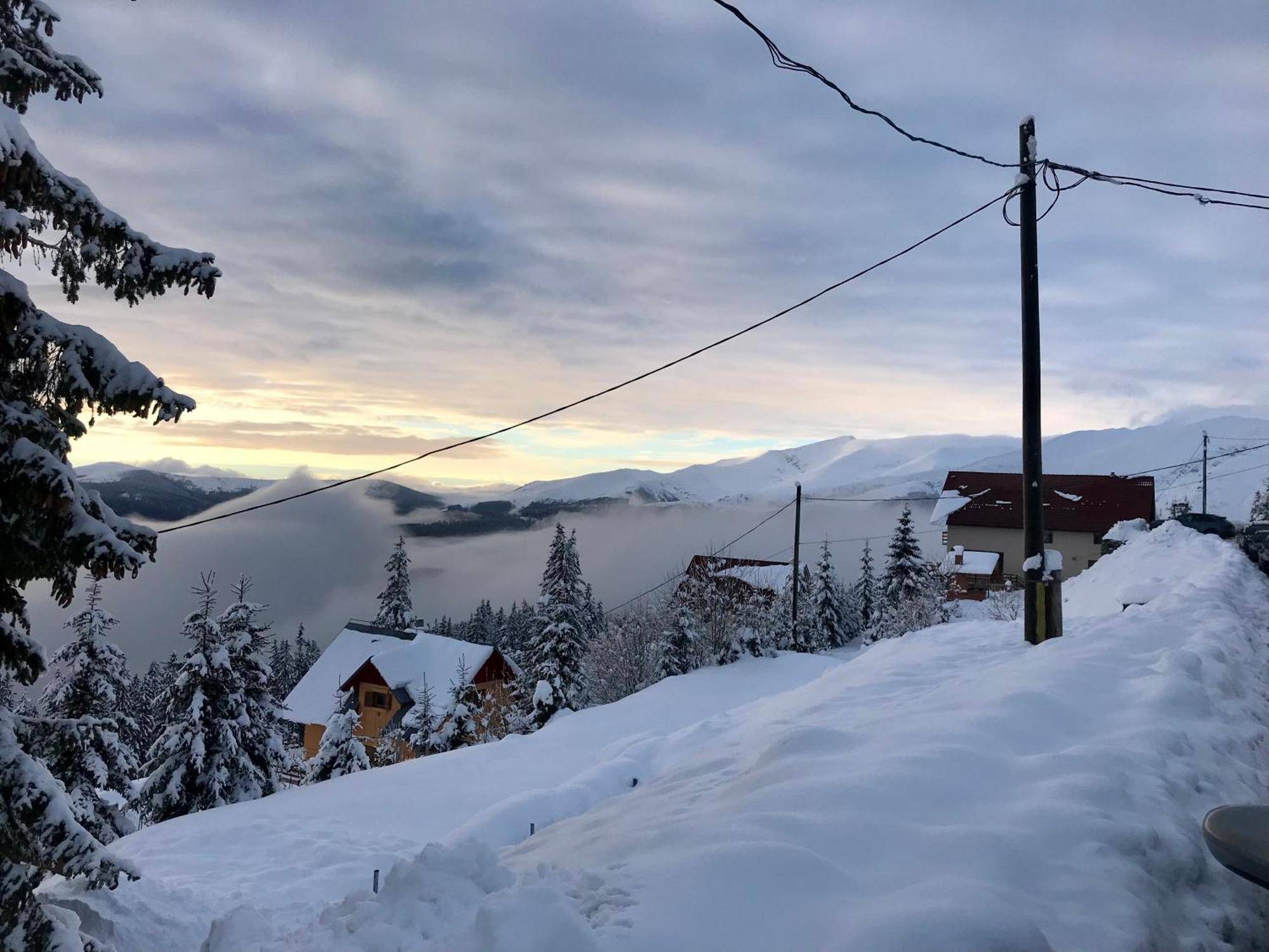 Casa De Vacanta Trei Brazi Ranca Dış mekan fotoğraf
