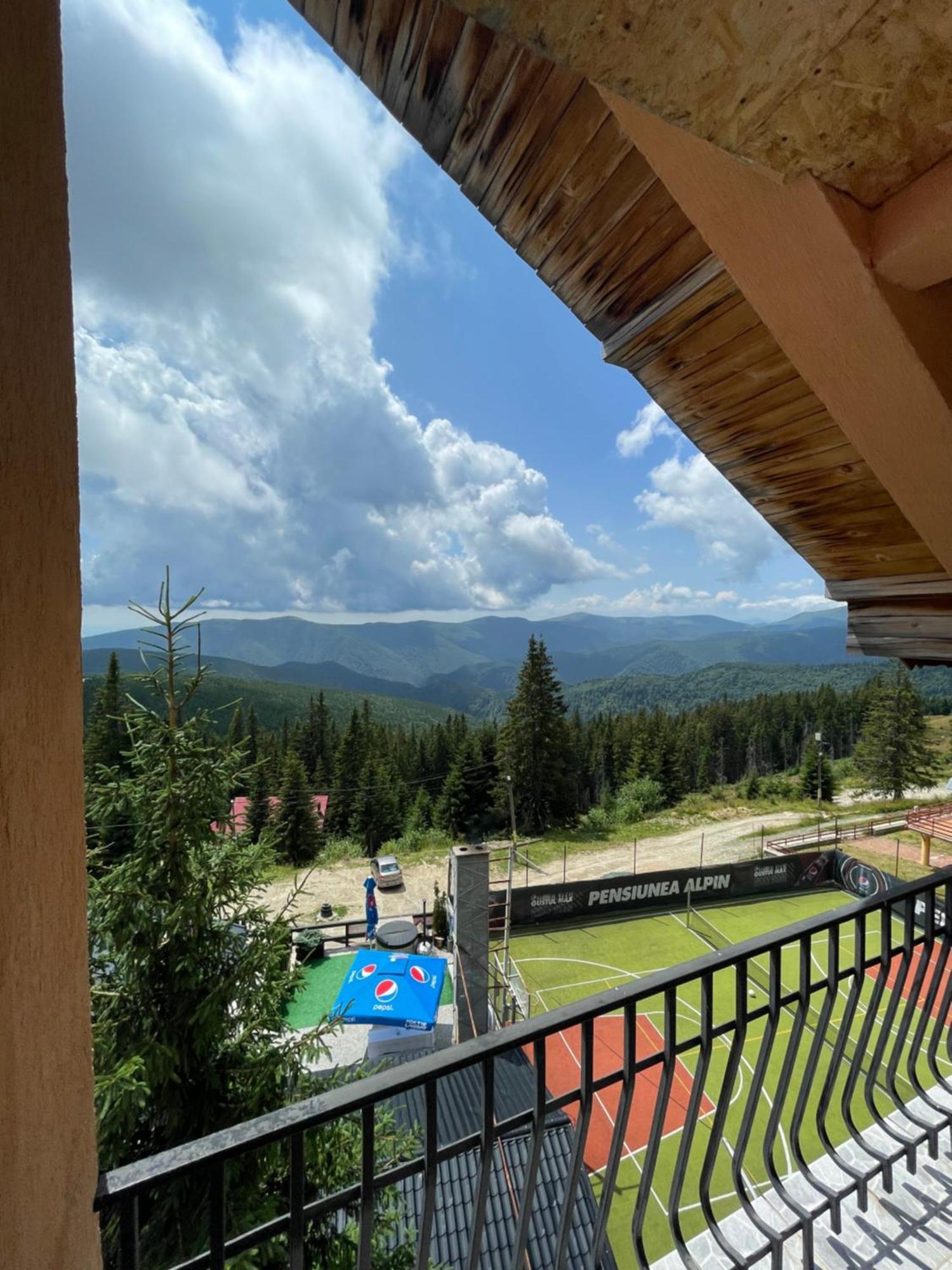 Casa De Vacanta Trei Brazi Ranca Dış mekan fotoğraf