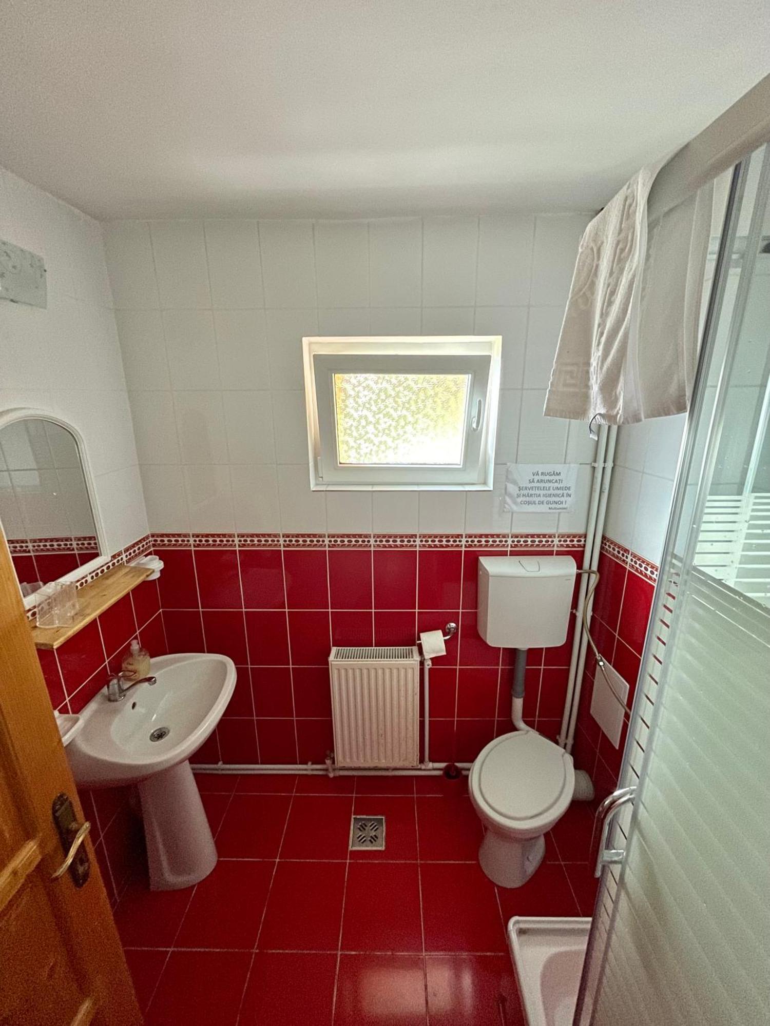 Casa De Vacanta Trei Brazi Ranca Dış mekan fotoğraf